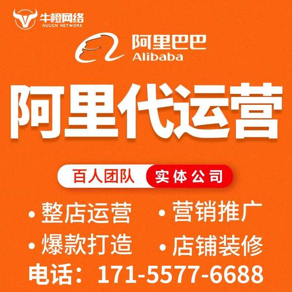 海北电商代运营