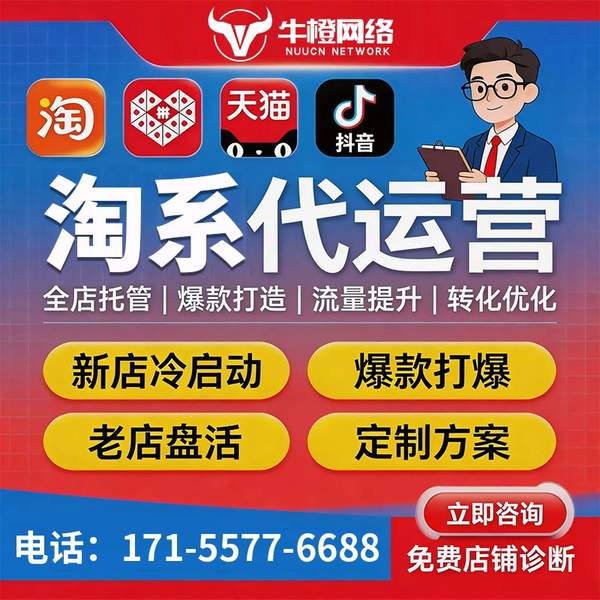 海北电商代运营