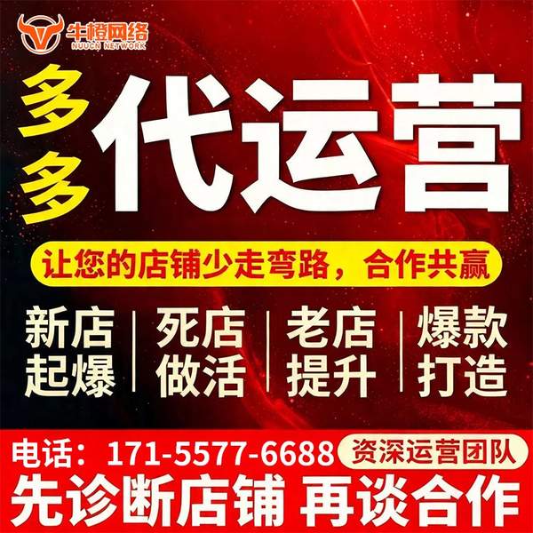 海北电商代运营