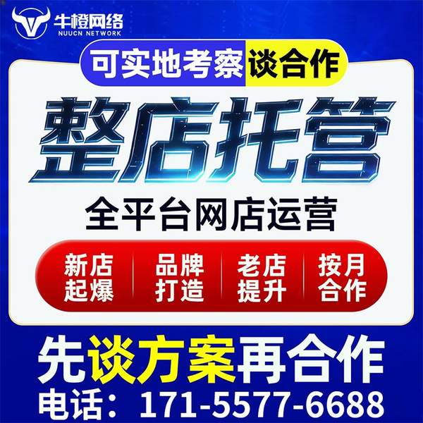海北电商代运营