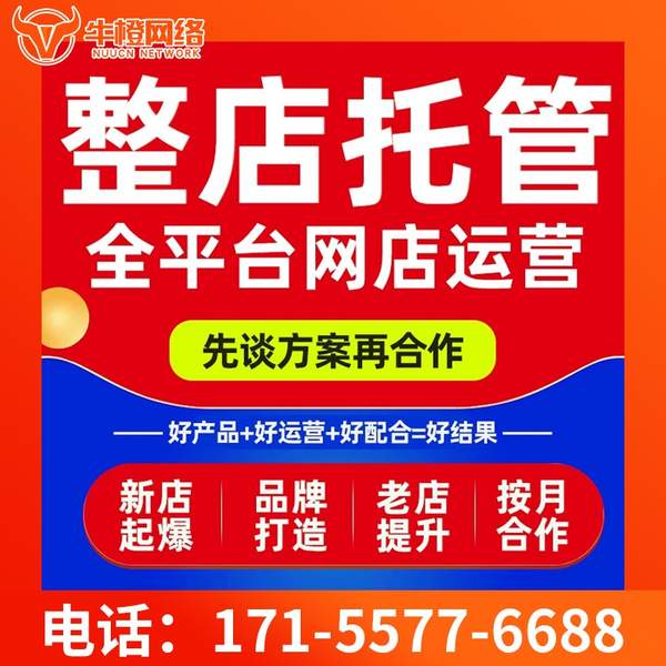 海北电商代运营