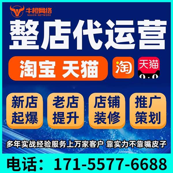 海北电商代运营