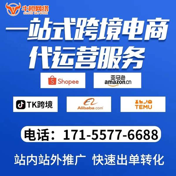 海北电商代运营