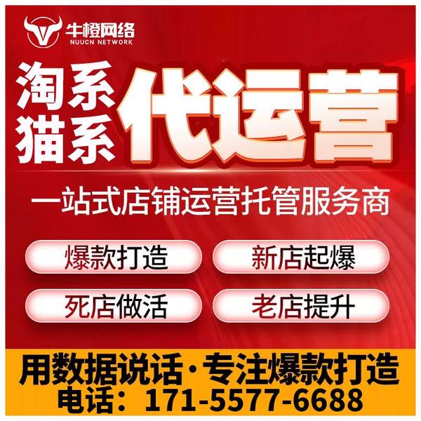海北电商代运营